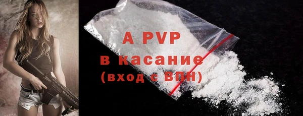 круглые Белокуриха