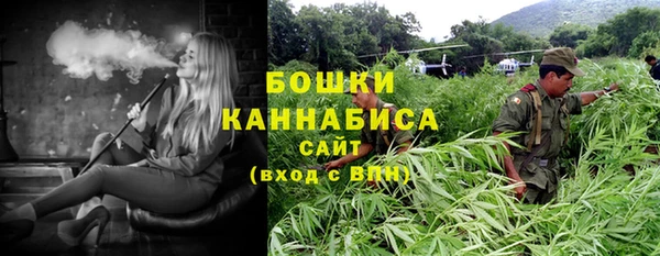 индика Беломорск