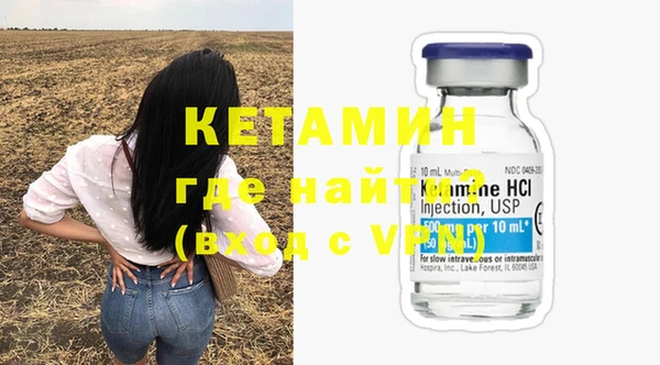 шишки Тайга
