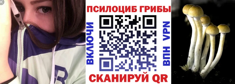 где продают   Верхнеуральск  Псилоцибиновые грибы Psilocybe 
